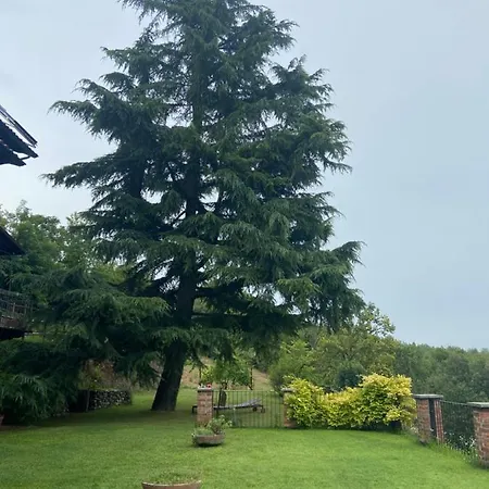 Bed and Breakfast Al Riccio Cocconato