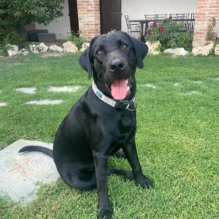 Couette-café Al Riccio