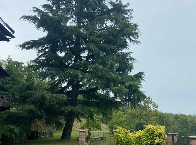 Bed & Breakfast Al Riccio Cocconato